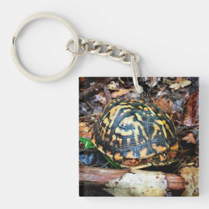 Schroefschildpad in het bos, Chester, South Caroli Sleutelhanger