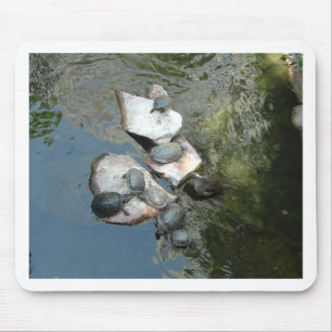 Schroefschildpadden/schildpadden Muismat