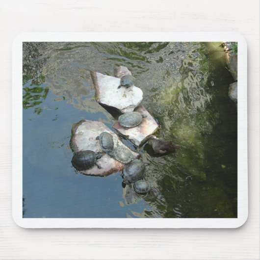 Schroefschildpadden/schildpadden Muismat (Voorkant)