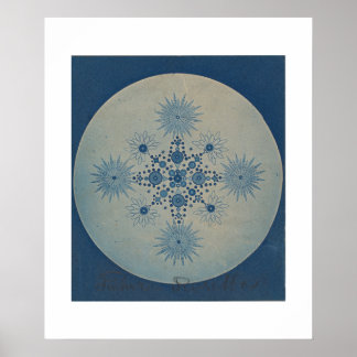 Schroefstukken van Diatomen door Julius Wiesner Poster