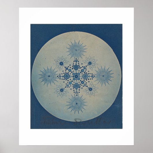 Schroefstukken van Diatomen door Julius Wiesner Poster (Voorkant)