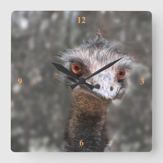 Schroffy Ole Bird, Emu. Vierkante Klok (Voorkant)