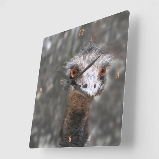 Schroffy Ole Bird, Emu. Vierkante Klok (Hoek)