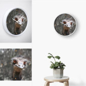 Schroffy Ole Bird, Emu. Vierkante Klok