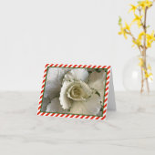 Schroom en groene sierkool met rode strepen kaart (Gele Bloem)