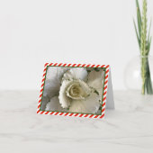 Schroom en groene sierkool met rode strepen kaart (Voorkant)