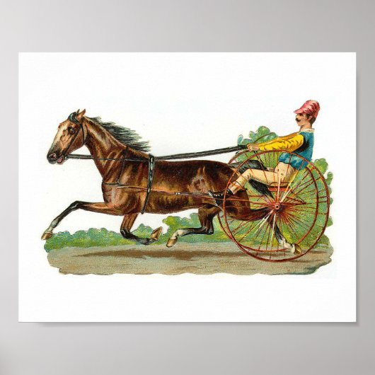 Schroot 2  American Horse Racing Poster (Voorkant)