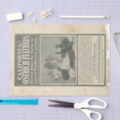 Schroot Ephemera Design Serie #17 Tissuepapier (Craft)