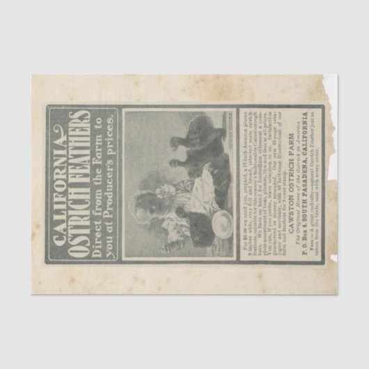 Schroot Ephemera Design Serie #17 Tissuepapier (Voorkant)
