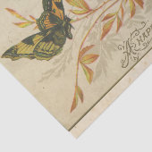 Schroot Ephemera Design Serie #30 Tissuepapier (Detail)