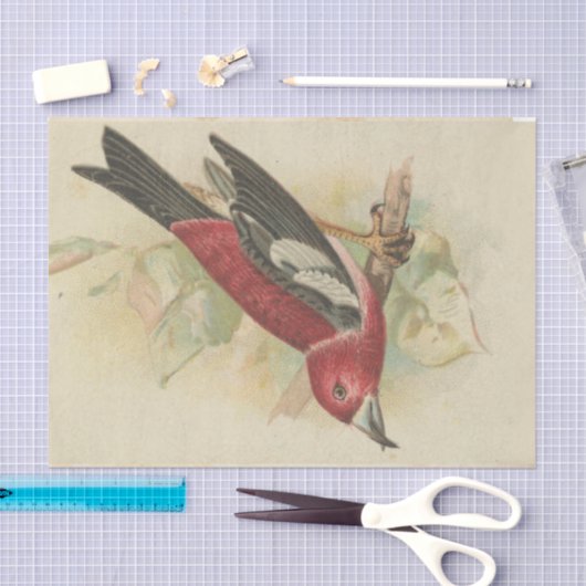 Schroot Ephemera Design Series #24 Tissuepapier (Craft)