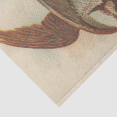 Schroot Ephemera Ontwerp Serie #3 Tissuepapier (Detail)