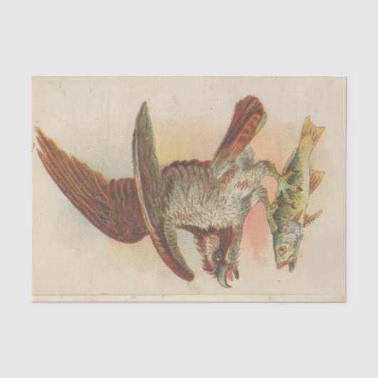 Schroot Ephemera Ontwerp Serie #3 Tissuepapier (Voorkant)