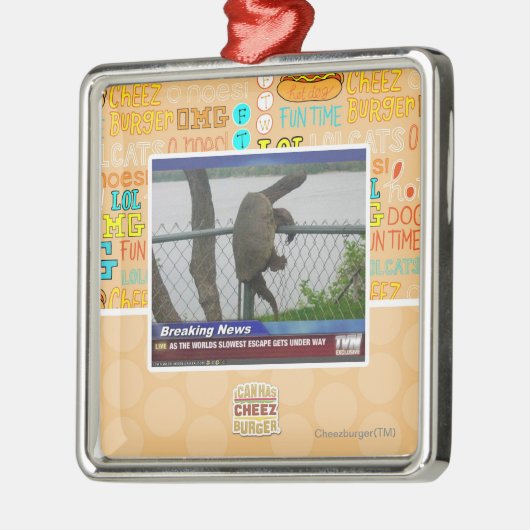 Schrootschildpad Metalen Ornament (Links)