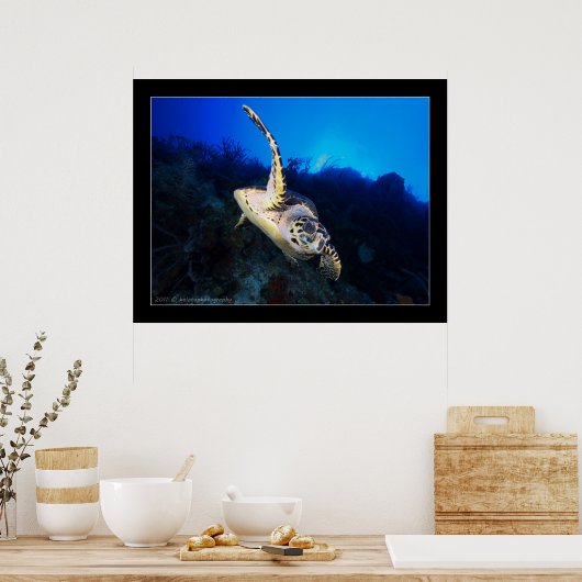 Schrootschildpad Poster (Keuken)