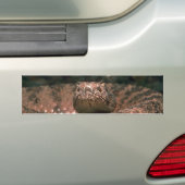 Schubbige Schrik Bumpersticker (Op auto)