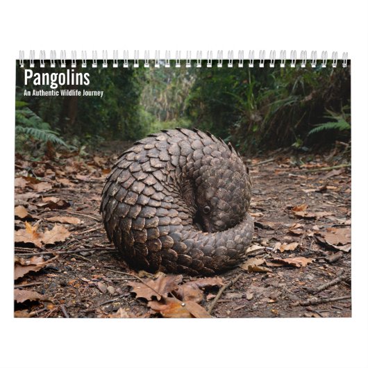 Schubdieren 2027 Muurkalender Kalender (Hoes)
