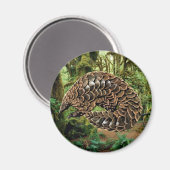 schubvleugelmagneet magneet (Voorkant / Achterkant)