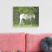 Schuchter wit paard canvasprint canvas afdruk (Insitu (Woonkamer))