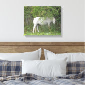 Schuchter wit paard canvasprint canvas afdruk (Insitu (Slaapkamer))