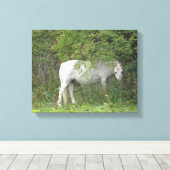 Schuchter wit paard canvasprint canvas afdruk (Insitu (Houten vloer))