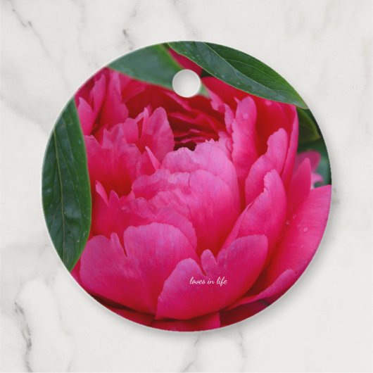 Schuchtere Roze Pioen Bedankjes Labels (Voorkant)