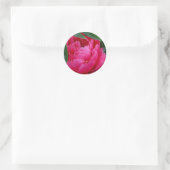 Schuchtere Roze Pioen Ronde Sticker (Tas)