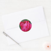 Schuchtere Roze Pioen Ronde Sticker (Envelop)