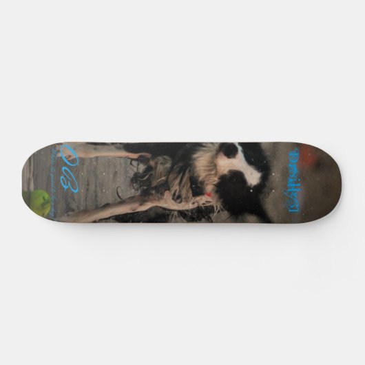 Schud hem eraf skateboard (Horizontaal)