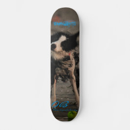 Schud hem eraf skateboard