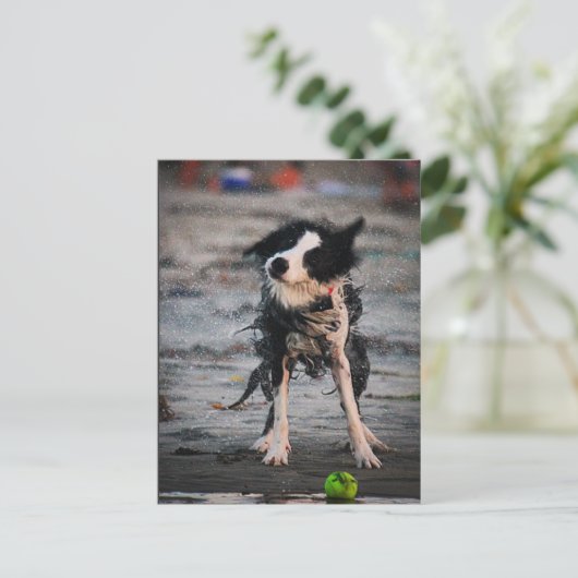 Schud het af! briefkaart (Staand voorkant)