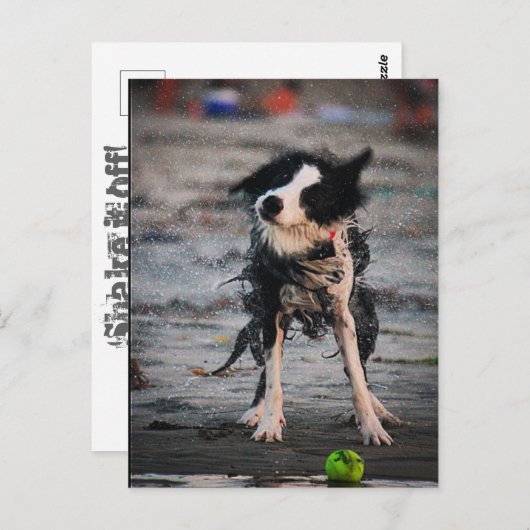 Schud het af! briefkaart (Voorkant / Achterkant)