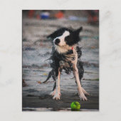 Schud het af! briefkaart (Voorkant)