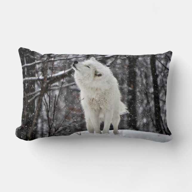 Schud het af kussen (Voorkant)