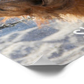 Schud het uit poster (Hoek)