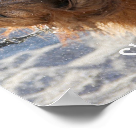 Schud het uit poster (Hoek)