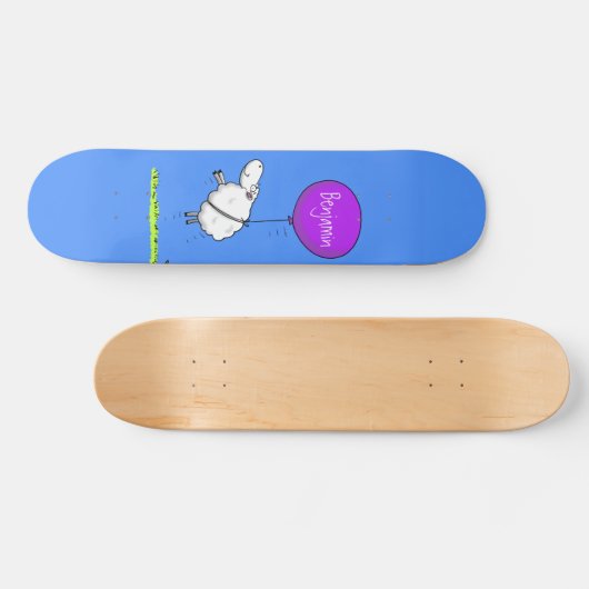 Schudballon cartoon humor illustratie persoonlijk skateboard (Horizontaal)