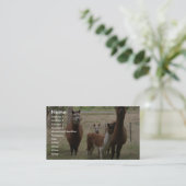 Schudbruine alpaca's in de dierentuin visitekaartje (Staand voorkant)