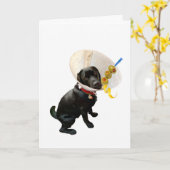 Schudden niet geroerd krijgen goed Wenskaart Kaart (Gele Bloem)