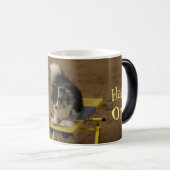 Schudden op een Agility Teeter Koffiemok (Voorkant rechts)