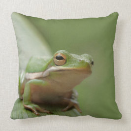 Schudgroene kikker Decoratief Wild Kussen
