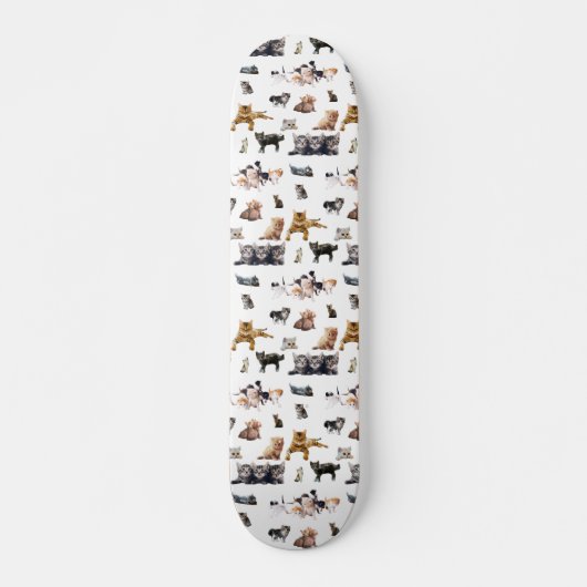 Schudpatroon met foto's van katten en kittens persoonlijk skateboard (Voorkant)