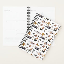 Schudpatroon met foto's van katten en kittens planner