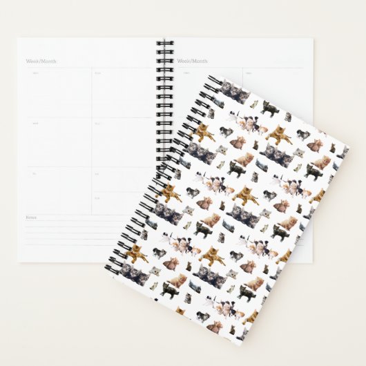 Schudpatroon met foto's van katten en kittens planner (Display)