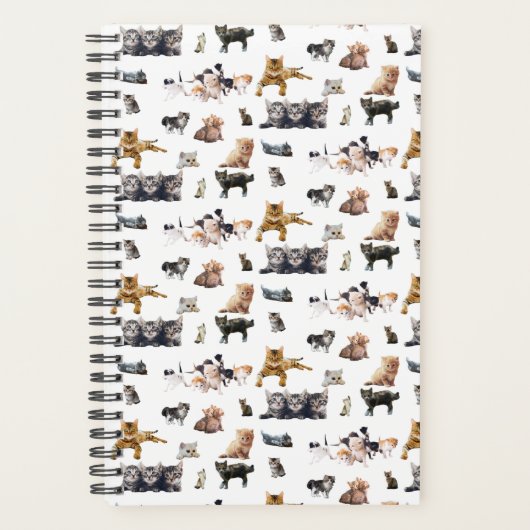 Schudpatroon met foto's van katten en kittens planner (Voorkant)