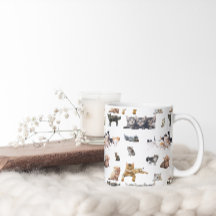 Schudpatroon met foto's van katten en kittens