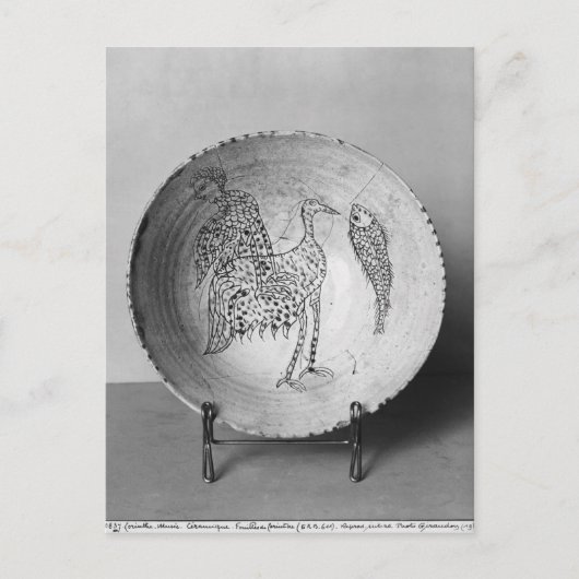 Schudschild met vogels briefkaart (Voorkant)