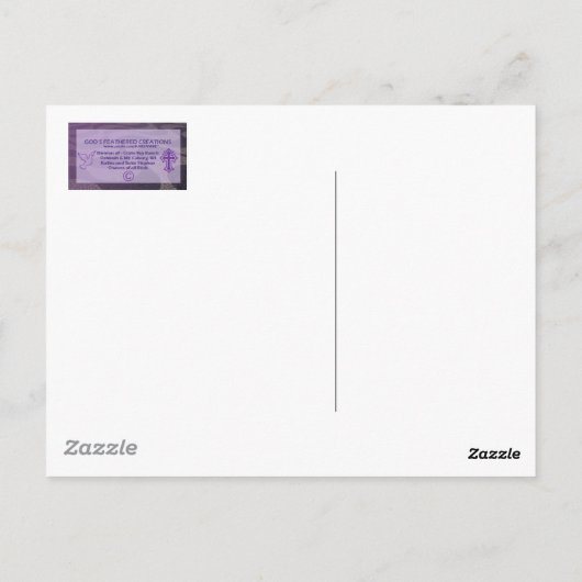 Schudstaartvink Briefkaart (Achterkant)