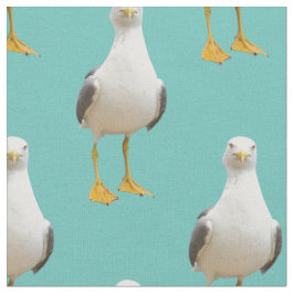 Schuif de schedel op een lichte Blauwgroen achterg Stof