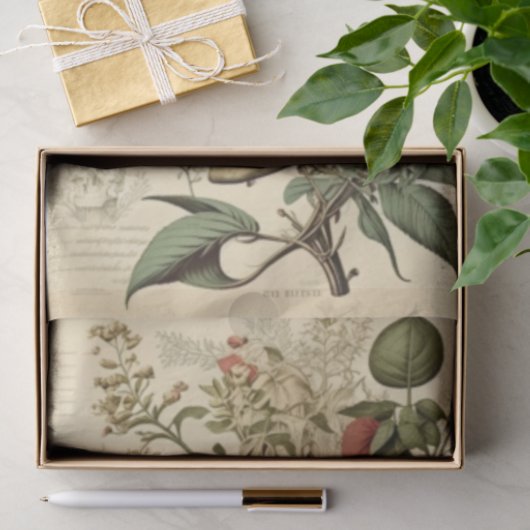 Schuif en bodem Victoriaans ontkoppeling Tissuepapier (Geschenk)